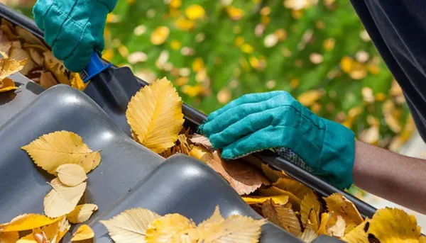 Master-gutter-cleaning