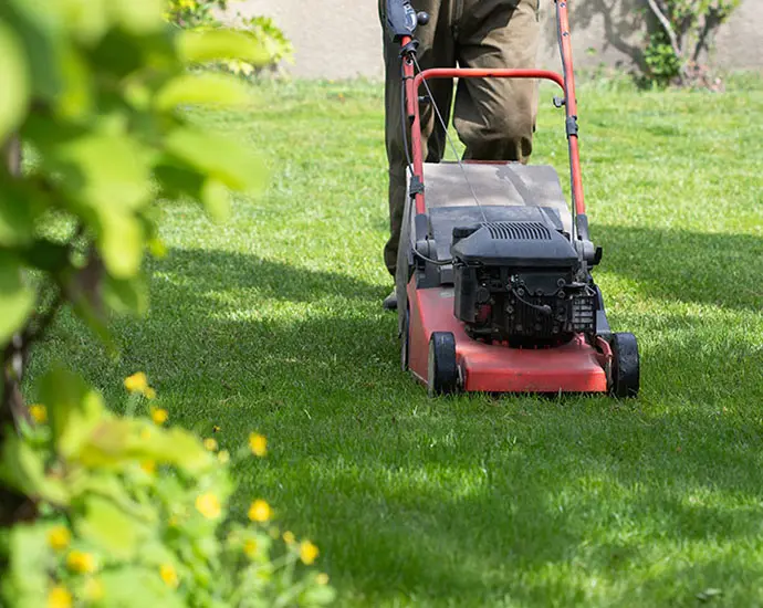 detail-lawn-mowing-vers2-1