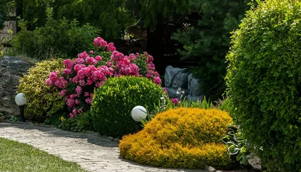 detail-planting