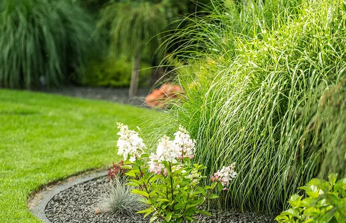 master-weed-control
