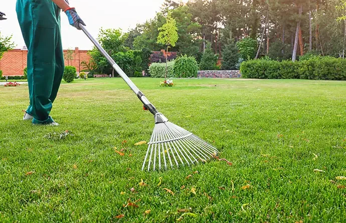 master-yard-clean